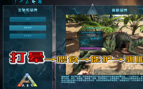方舟生存进化：怎么驯龙（合理选择比努力更重要）
