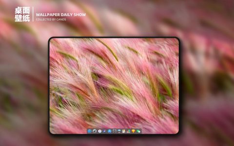 mac 壁纸推荐（4K高清·MacOS原生壁纸）