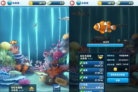 《钓鱼发烧友》评测（真实的钓鱼体验）