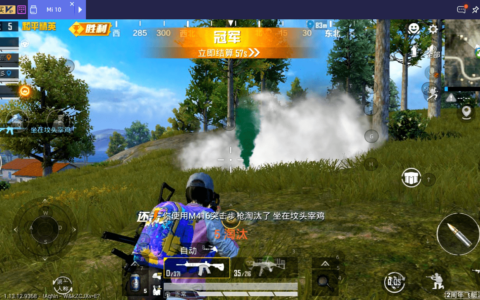 吃鸡类型的手游推荐（各地区最受欢迎的吃鸡手游盘点）