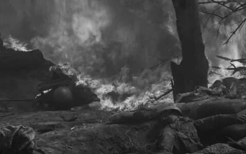 军阀小说排行榜（推荐几本令人热血沸腾的军阀类小说）