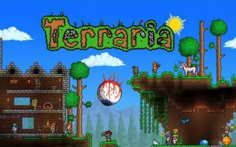 泰拉瑞亚哪些才是超级稀有物品（超级稀有物品汇总）