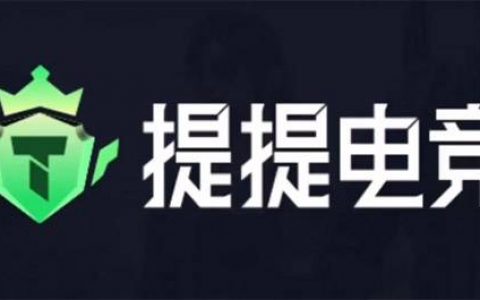 提提电竞真的可以赚钱吗？别无脑充值即可