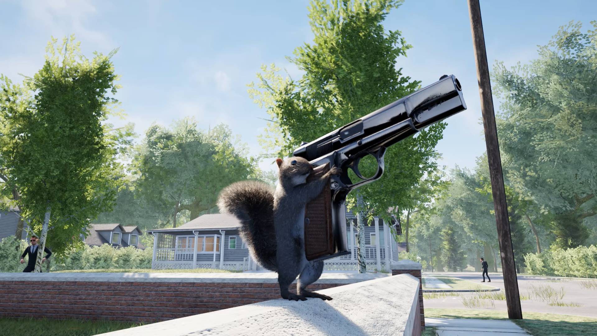 《Squirrel with a Gun》
