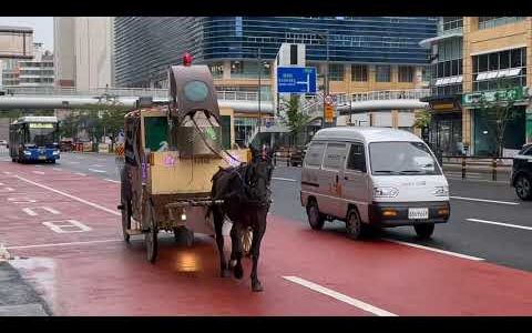 韩版《赛马娘 Pretty Derby》玩家不满代理商营运方针 派出真实「马车」游街示威抗议