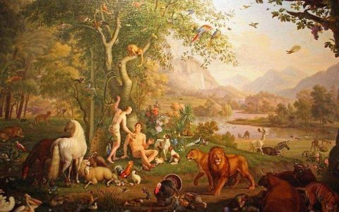 创世纪.神的内容（h5单机无限钻石怎么玩）