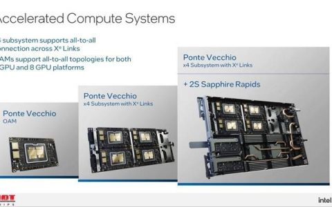 Intel公布「Ponte Vecchio」服务器GPU构建平台算力，号称领先NVIDIA 2.5倍