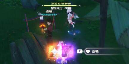原神固若金汤攻略