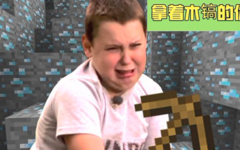 盘点《我的世界》里的经典梗（萌新必看手册啊）