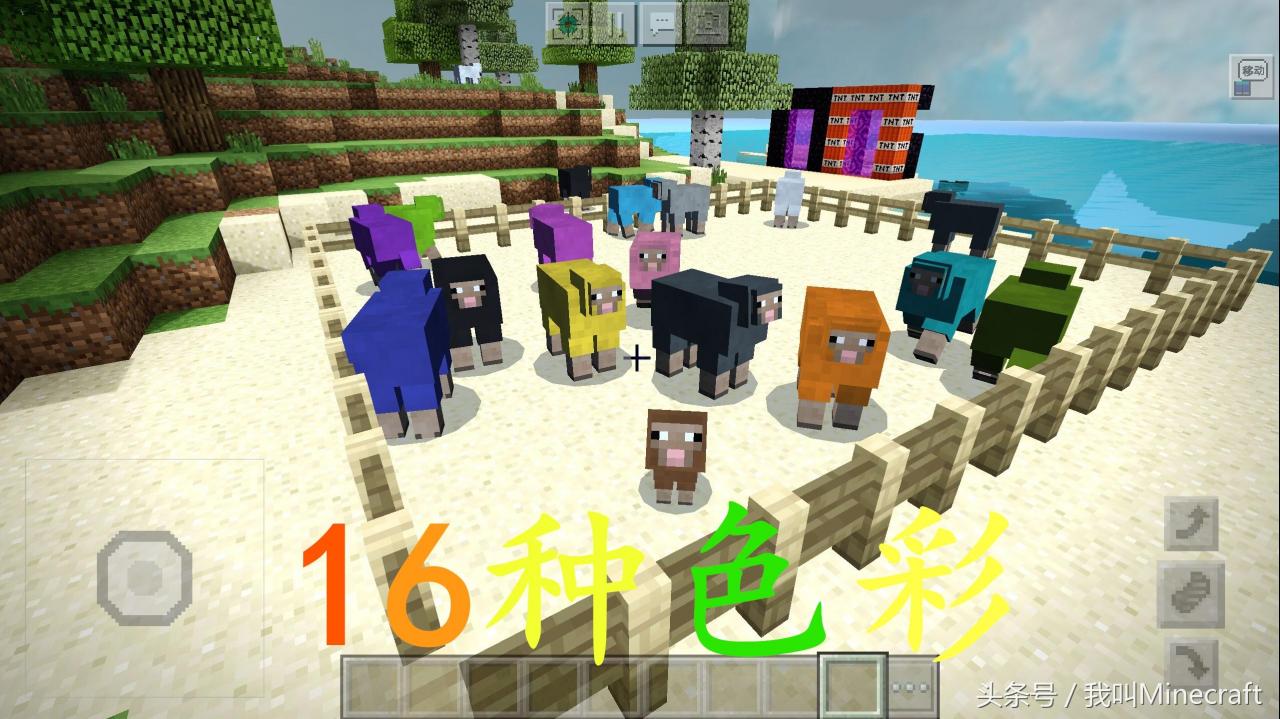 我的世界：16种“染料”冷知识（大神教你如何获得染料）