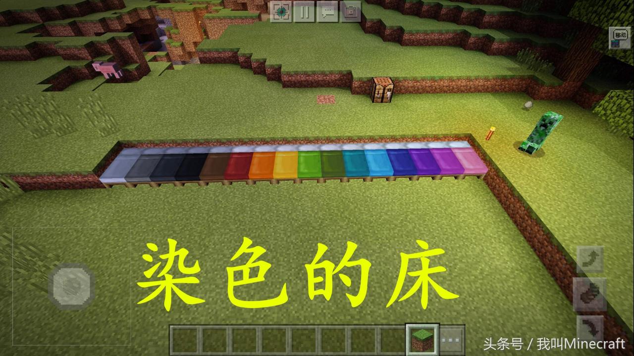 我的世界：16种“染料”冷知识（大神教你如何获得染料）
