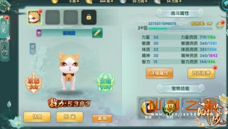 醉玲珑手游人形宠物怎么获取 萌宠养成攻略