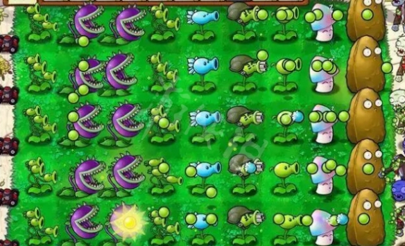 《植物大战僵尸》最强阵型（五种强力阵型分享）