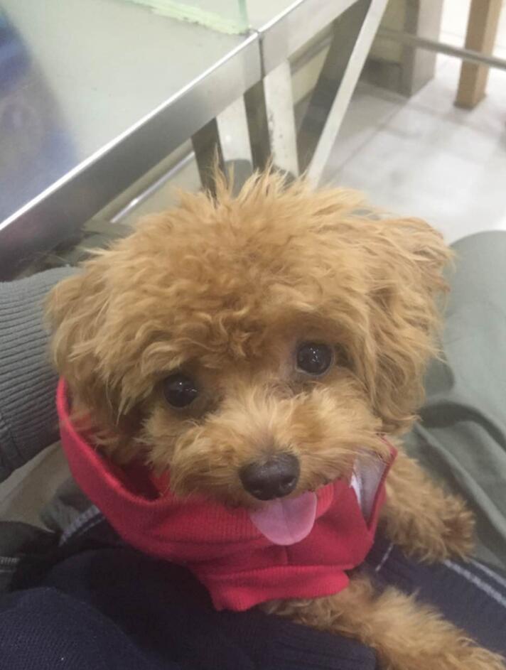 狂城丽影好玩吗（狂城丽影玩法介绍）