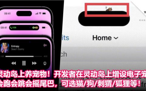 灵动岛上养宠物！开发者在灵动岛上增设电子宠物：会跑会跳会摇尾巴，可选猫/狗/刺猬/狐狸等！