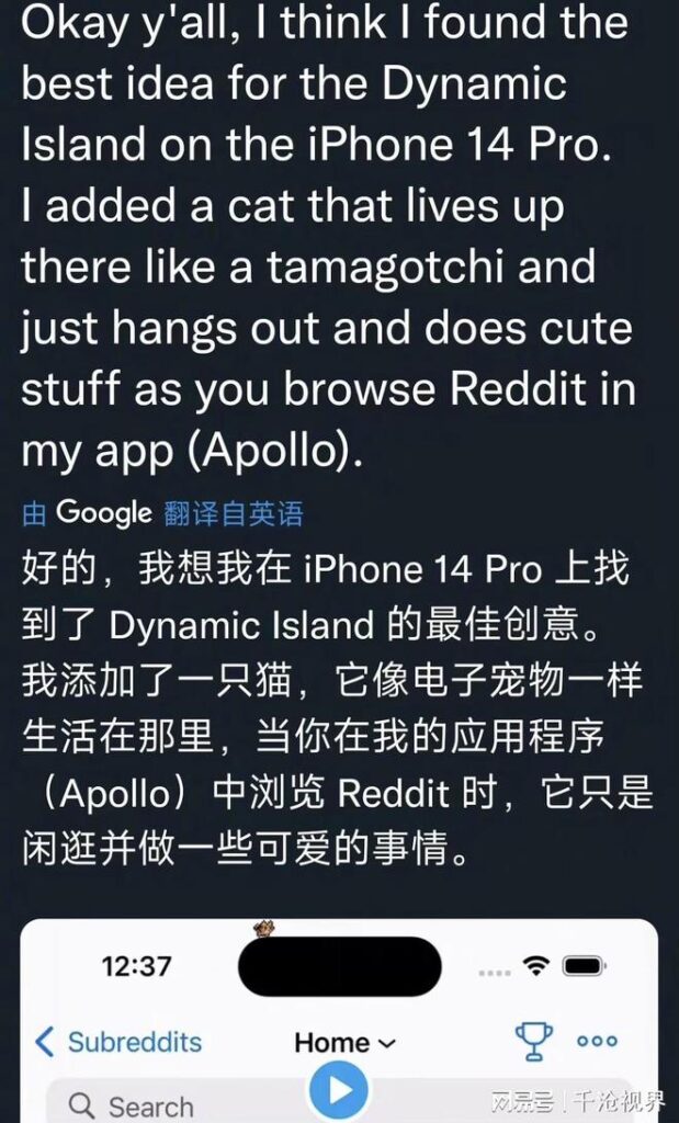 灵动岛上养宠物！开发者在灵动岛上增设电子宠物：会跑会跳会摇尾巴，可选猫/狗/刺猬/狐狸等！