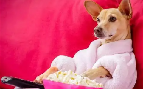 一天赚100到500元的手机游戏（手机赚钱游戏正规平台）