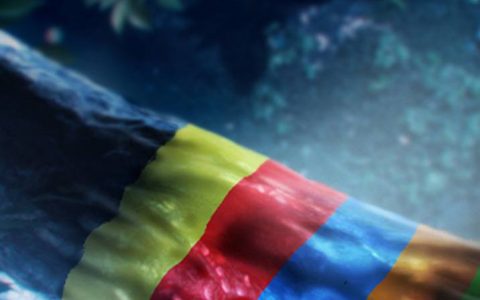 《宝可梦 朱/紫》公开帕底亚地区神秘摄影作品 揭露毒猴宝可梦「涂标客」生态