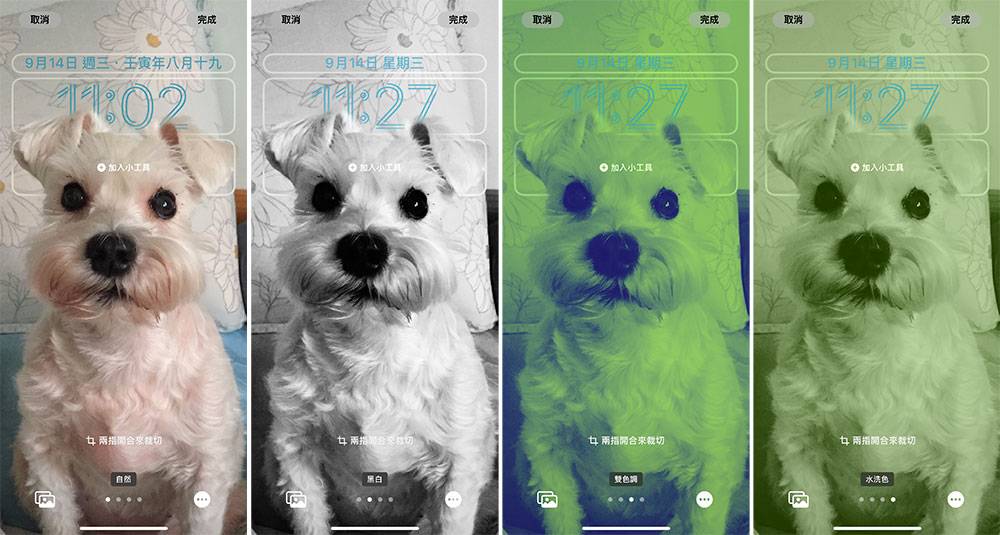 iOS 16 正式版来了，锁定桌布、键盘触觉回馈等 6 个特色功能赶快学起来！