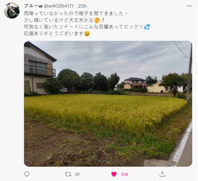 米就是力量！ 《天穗之咲稻姬》启发玩家开始耕田 连游戏设计师都感动转推