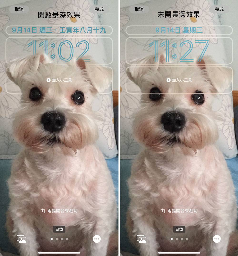 iOS 16 正式版来了，锁定桌布、键盘触觉回馈等 6 个特色功能赶快学起来！