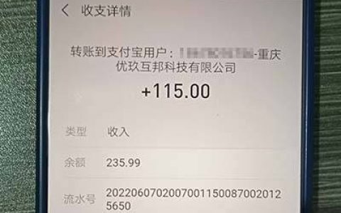 赚钱软件一天赚100元（正规靠谱的赚钱软件无广告）