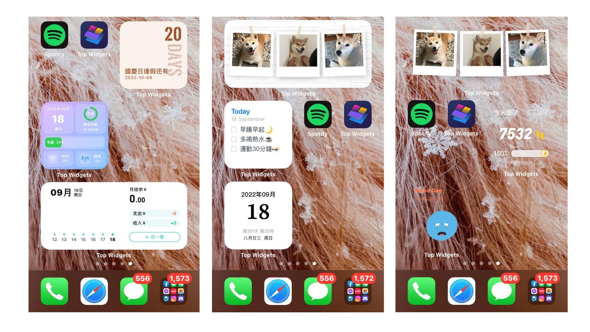 Top Widgets