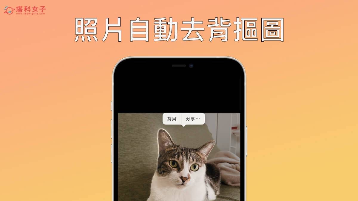 iOS 16 功能:iPhone 照片去背抠图