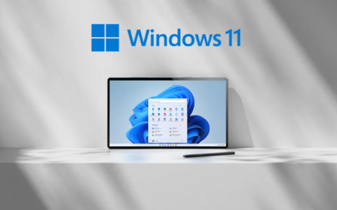 如何在 Windows 11 上启用和查看剪贴板历史记录以提高效率