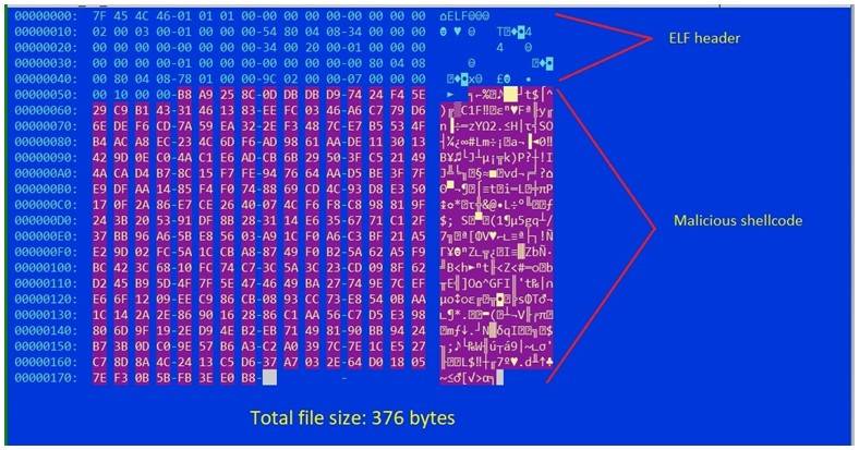 新的Linux恶意软件用IoT设备挖矿、连你家电视、冰箱的算力都不放过，大小还只有 376 bytes