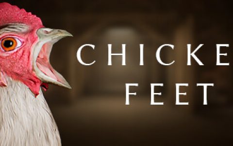 以肉身引诱巨鸡！ 第一人称生存恐怖游戏《生化危鸡》正式推出