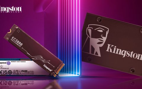 金士顿成为2021全球SSD市占第一，抢下26%通路出货量