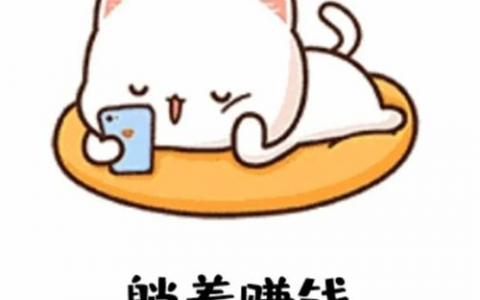 一天赚5元的赚钱软件(教你赚零花钱，每天保底5-30元)