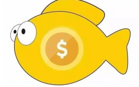 0投入网上赚钱平台(怎么能网上赚钱)