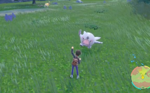 欧美玩家发现在《宝可梦 朱/紫》中对野生宝可梦做出表情 原来它们会对你做出...