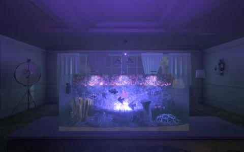 VR 模拟经营游戏《Aquarist VR》公开抢先体验日，用双手打造最棒的水族馆帝国！