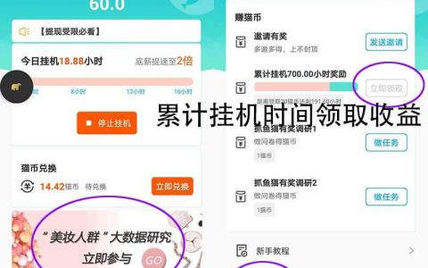 抓鱼猫挂机赚钱是真的吗(一天能赚多少钱)