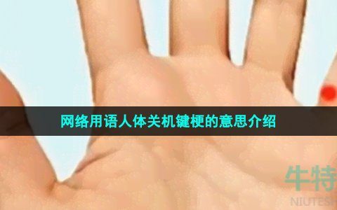 人体关机键是什么意思(网络用语人体关机键梗的意思介绍)
