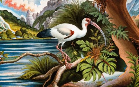 AI绘画进军图库！ Adobe Stock图库将开卖AI生成的图片