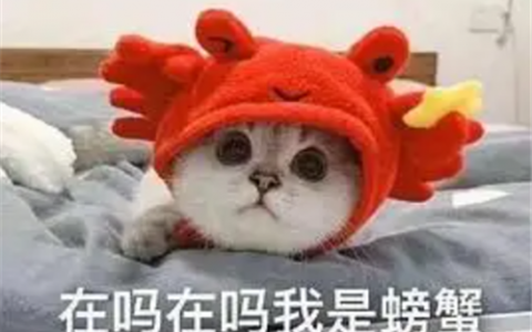 如何在家一天赚一百元(在家没事，0成本1天50-100)