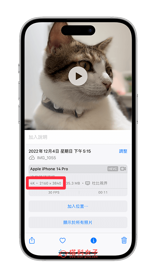 查询 iPhone 视频画质或分辨率