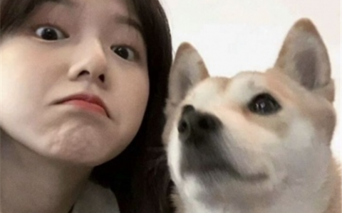 悬赏任务平台哪个好(悬赏类任务APP排行榜)