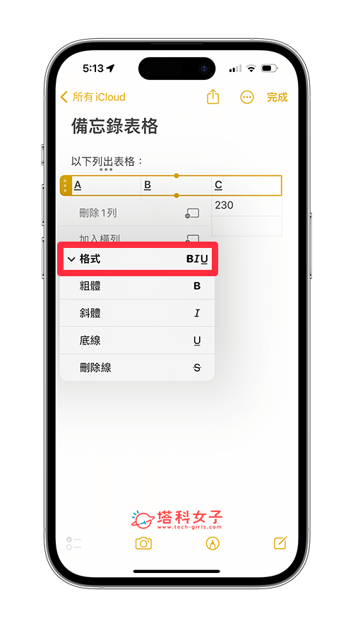 更改 iPhone 备忘录表格格式
