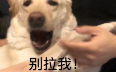 不想上班在家做什么赚钱(如何不工作就能赚钱)