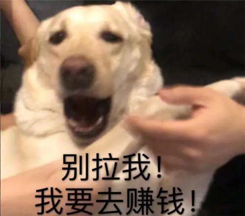 不想上班在家做什么赚钱(如何不工作就能赚钱)