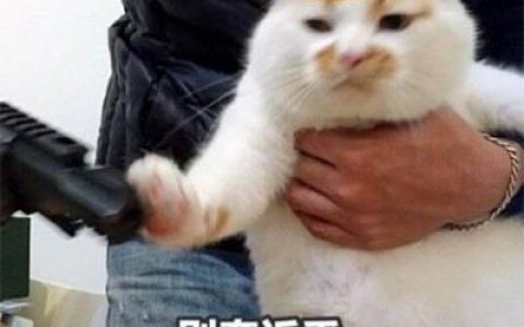 2023最新推荐十大挣钱软件排行榜(来看看TA们都是怎么赚钱的)