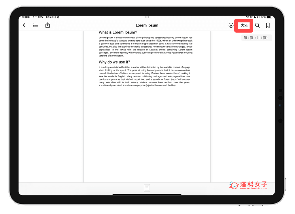 在 Apple Books 开启 PDF 文件：在 PDF 点选「大小」