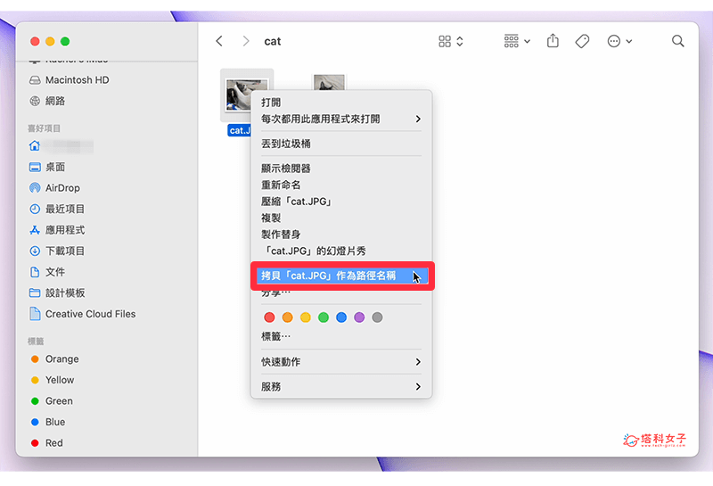 Mac 文件路径复制教学，一键复制 Mac 文件夹路径或文件路径！