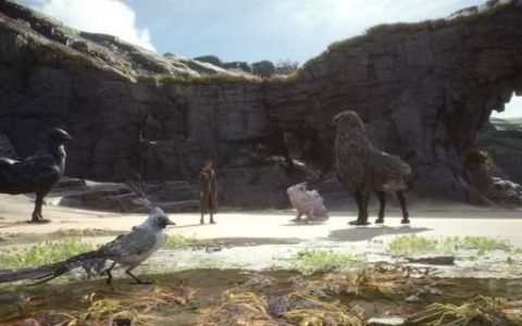 《霍格华兹的传承》借镜《宝可梦》系列饲养奇兽 可以捕捉闪光（色违）奇兽还能孵蛋