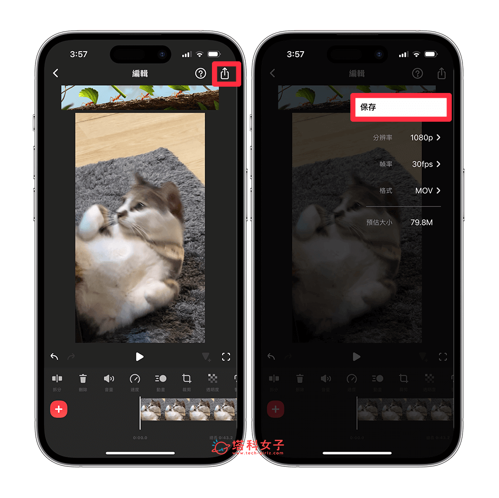 使用 InShot App 让 iPhone 视频变慢动作：储存视频